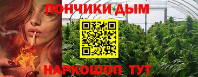 стаф Бийск