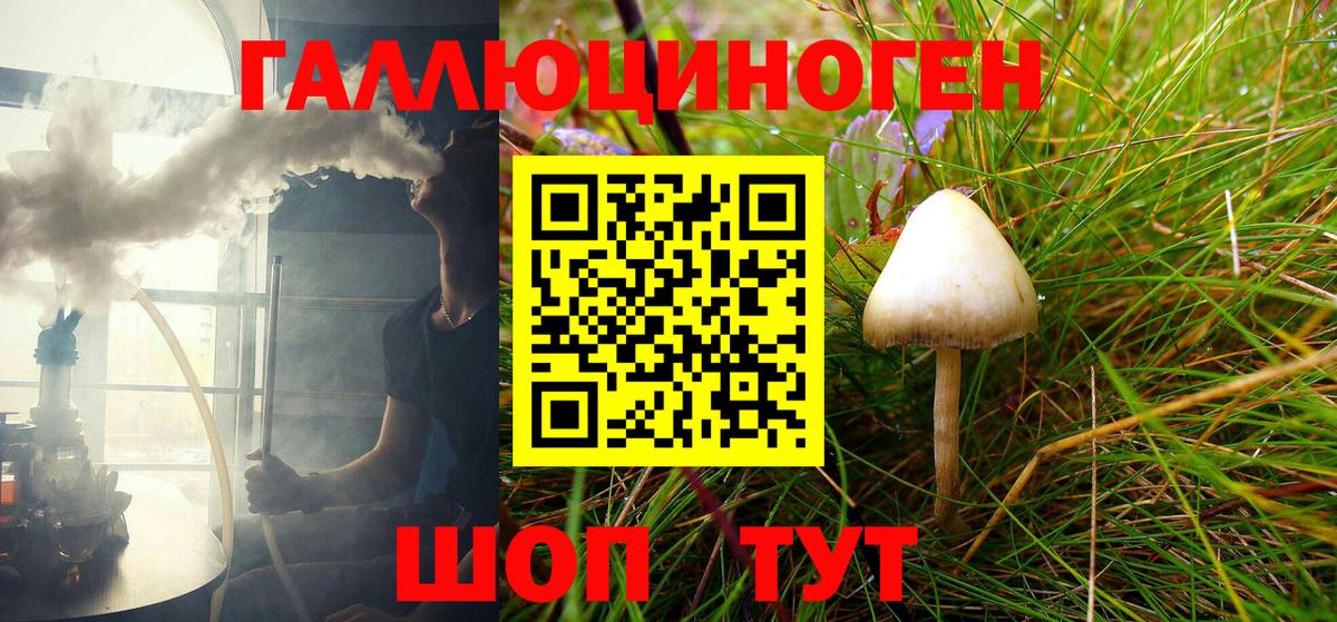 Галлюциногенные грибы Psilocybe Канаш