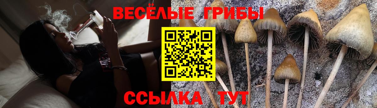 Галлюциногенные грибы ЛСД  Вход с VPN  Канаш 
